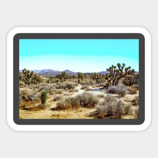 Joshua Tree National Park, California Sticker